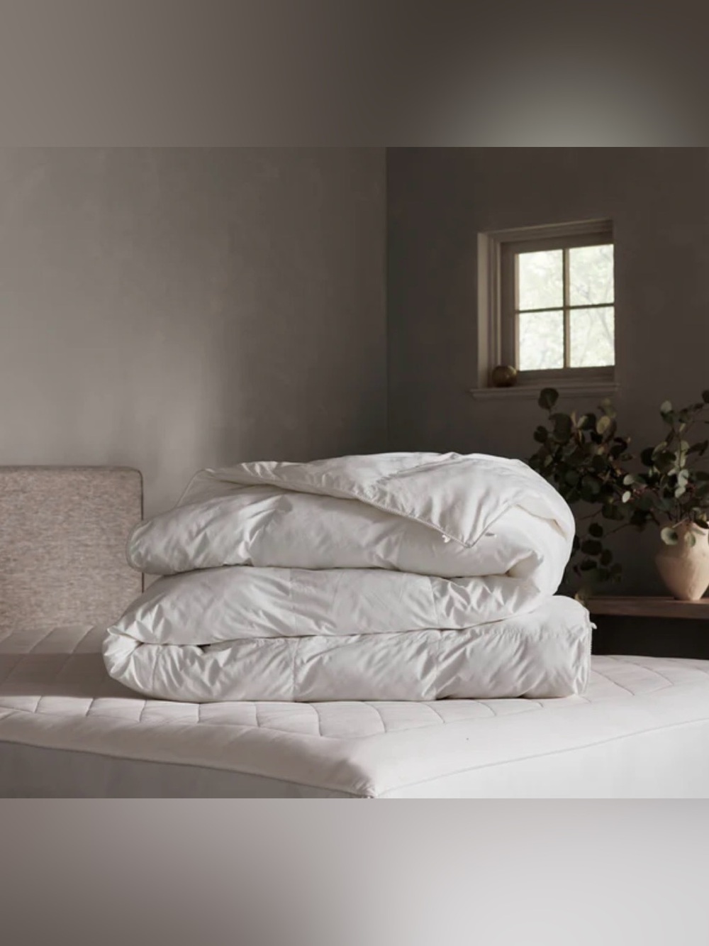 Cozy Earth Lightweight Down Alternative Comforter King/Cal King New